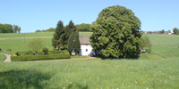 home 3